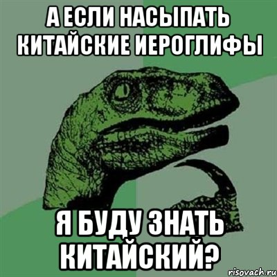 а если насыпать китайские иероглифы я буду знать китайский?, Мем Филосораптор