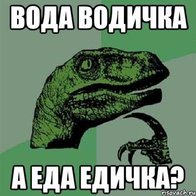 вода водичка а еда едичка?, Мем Филосораптор