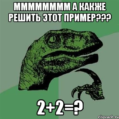 мммммммм а какже решить этот пример??? 2+2=?, Мем Филосораптор