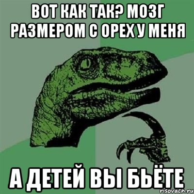 вот как так? мозг размером с орех у меня а детей вы бьёте, Мем Филосораптор