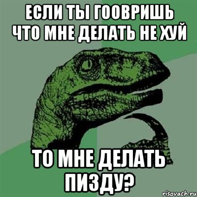 если ты гоовришь что мне делать не хуй то мне делать пизду?, Мем Филосораптор