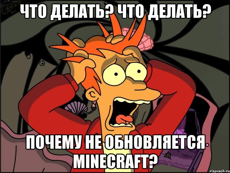 что делать? что делать? почему не обновляется minecraft?, Мем Фрай в панике