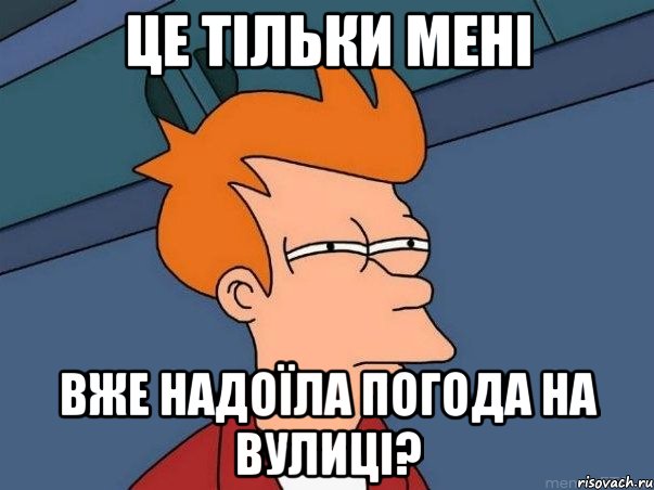 це тільки мені вже надоїла погода на вулиці?, Мем  Фрай (мне кажется или)