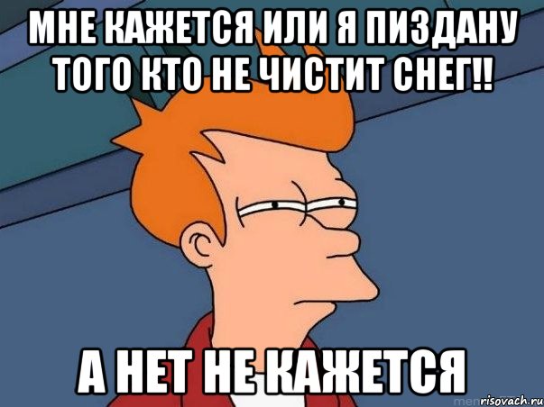 мне кажется или я пиздану того кто не чистит снег!! а нет не кажется, Мем  Фрай (мне кажется или)