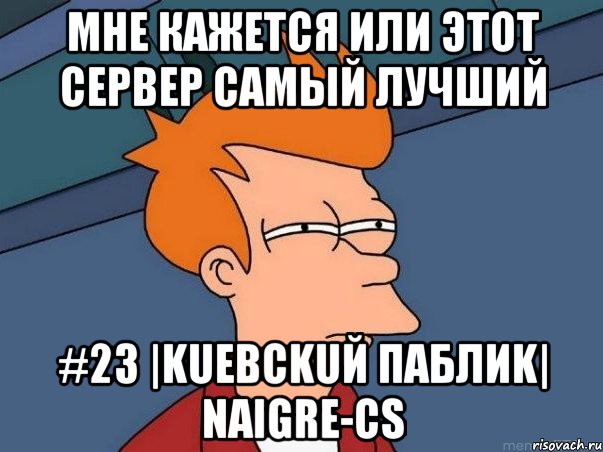 мне кажется или этот сервер самый лучший #23 |kueвckuй паблиk| naigre-cs, Мем  Фрай (мне кажется или)