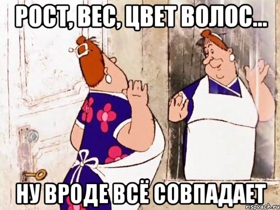 рост, вес, цвет волос... ну вроде всё совпадает, Мем  Фрекен Бок