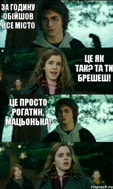 за годину обійшов все місто  це як так? та ти брешеш! це просто Рогатин, мацьонька!, Комикс Разговор Гарри с Гермионой