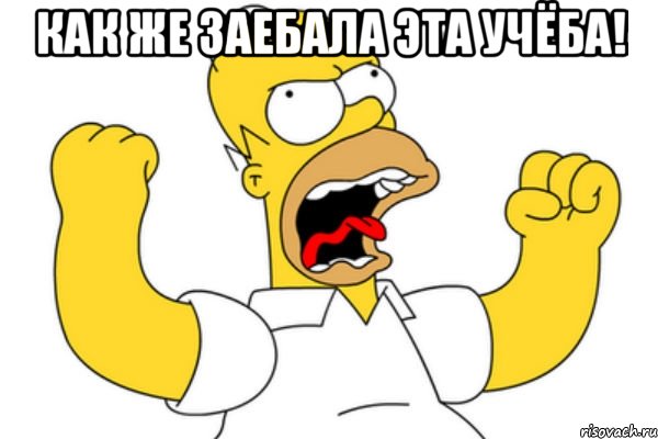 Homer 35 Телец Армавир Знакомства