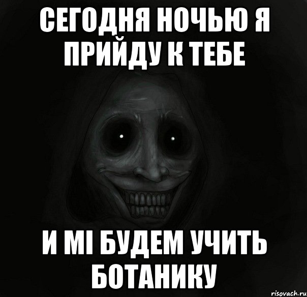 сегодня ночью я прийду к тебе и мі будем учить ботанику, Мем Ночной гость