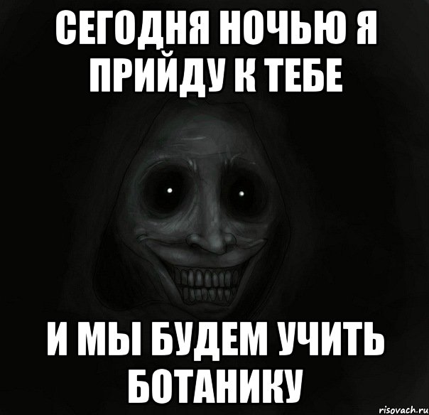 сегодня ночью я прийду к тебе и мы будем учить ботанику, Мем Ночной гость