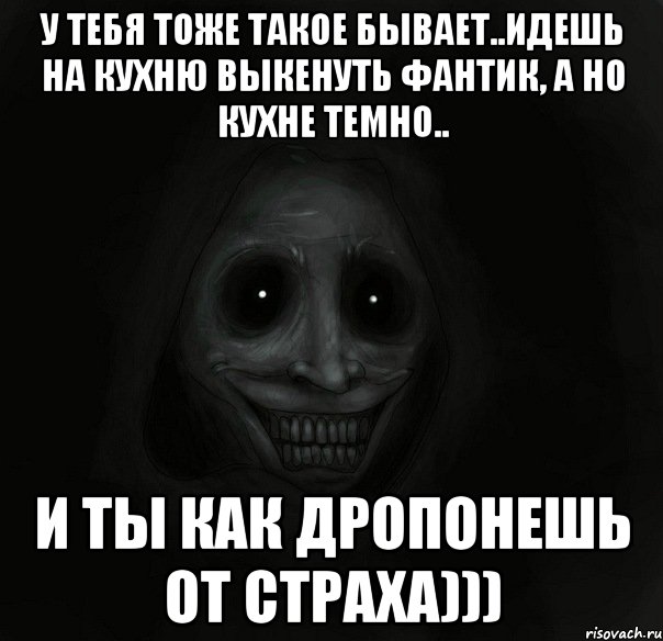 у тебя тоже такое бывает..идешь на кухню выкенуть фантик, а но кухне темно.. и ты как дропонешь от страха))), Мем Ночной гость