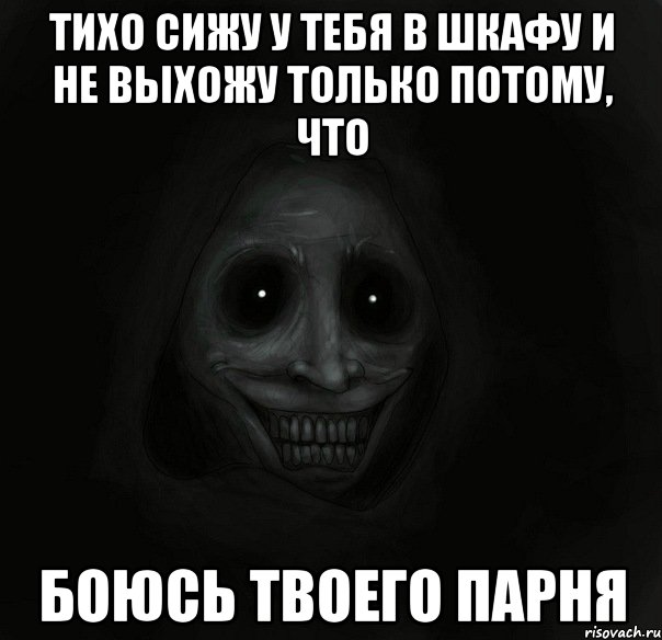 тихо сижу у тебя в шкафу и не выхожу только потому, что боюсь твоего парня, Мем Ночной гость