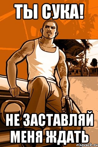 ты сука! не заставляй меня ждать, Мем GTA