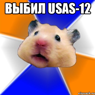 выбил usas-12 , Мем Хомяк