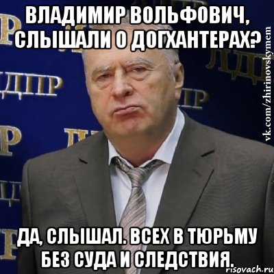 владимир вольфович, слышали о догхантерах? да, слышал. всех в тюрьму без суда и следствия., Мем Хватит это терпеть (Жириновский)