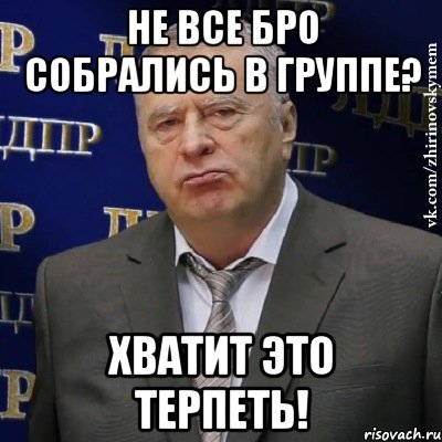 не все бро собрались в группе? хватит это терпеть!, Мем Хватит это терпеть (Жириновский)