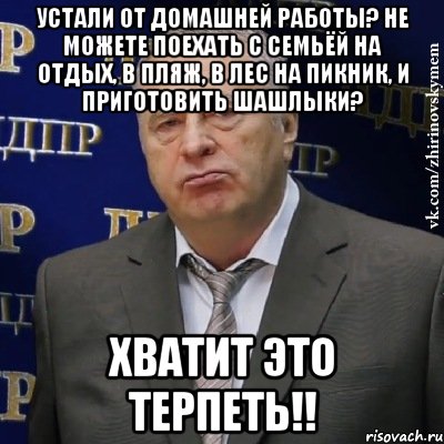 устали от домашней работы? не можете поехать с семьёй на отдых, в пляж, в лес на пикник, и приготовить шашлыки? хватит это терпеть!!, Мем Хватит это терпеть (Жириновский)