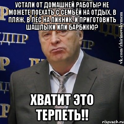 устали от домашней работы? не можете поехать с семьёй на отдых, в пляж, в лес на пикник, и приготовить шашлыки или барбикю? хватит это терпеть!!, Мем Хватит это терпеть (Жириновский)