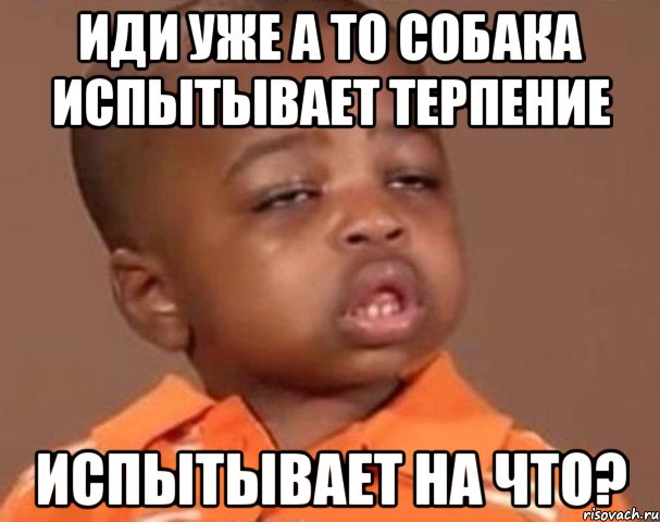 иди уже а то собака испытывает терпение испытывает на что?, Мем  Какой пацан (негритенок)