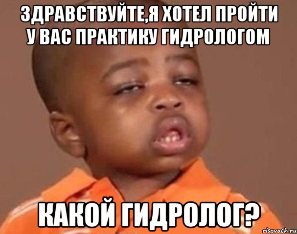 здравствуйте,я хотел пройти у вас практику гидрологом какой гидролог?, Мем  Какой пацан (негритенок)