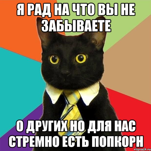 я рад на что вы не забываете о других но для нас стремно есть попкорн, Мем  Кошечка