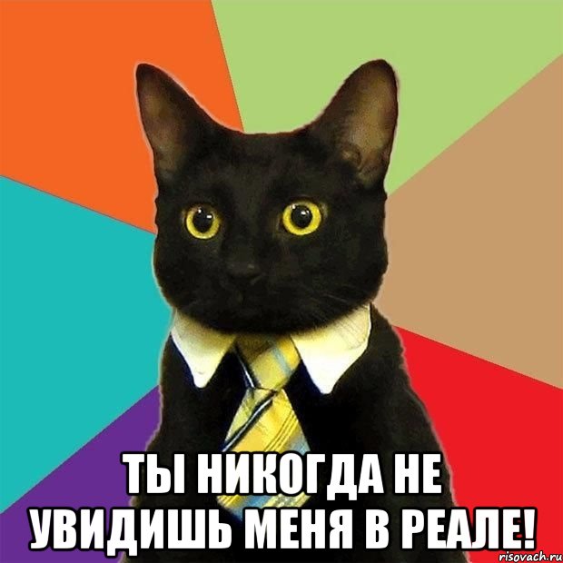  ты никогда не увидишь меня в реале!, Мем  Кошечка