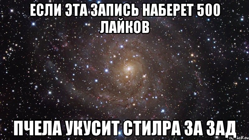 если эта запись наберет 500 лайков пчела укусит стилра за зад, Мем  Космос (офигенно)