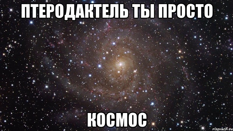 птеродактель ты просто космос, Мем  Космос (офигенно)