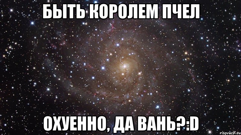 быть королем пчел охуенно, да вань?:d, Мем  Космос (офигенно)