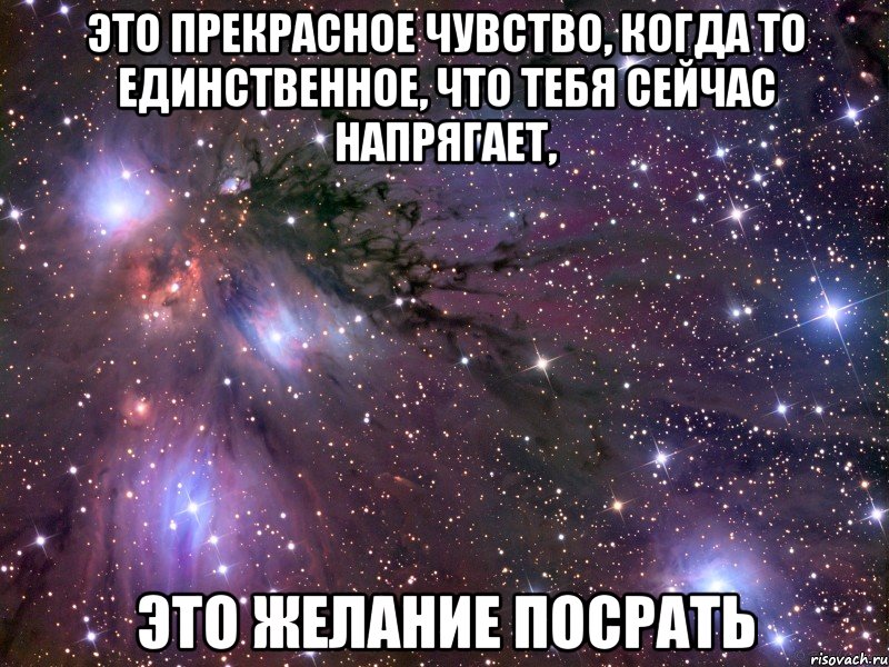 это прекрасное чувство, когда то единственное, что тебя сейчас напрягает, это желание посрать, Мем Космос