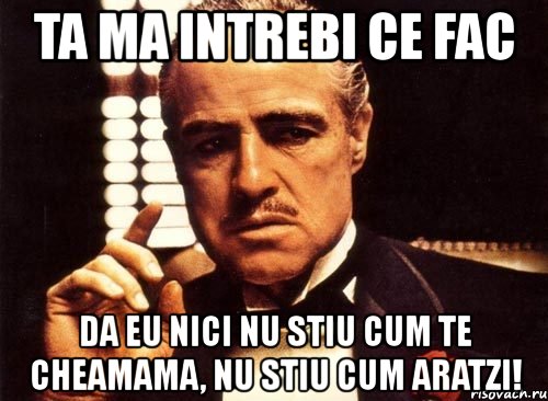 ta ma intrebi ce fac da eu nici nu stiu cum te cheamama, nu stiu cum aratzi!, Мем крестный отец