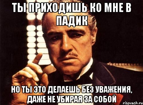 ты приходишь ко мне в падик но ты это делаешь без уважения, даже не убирая за собой, Мем крестный отец