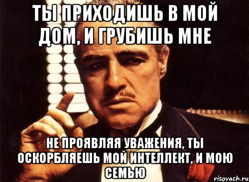 ты приходишь в мой дом, и грубишь мне не проявляя уважения, ты оскорбляешь мой интеллект, и мою семью, Мем крестный отец