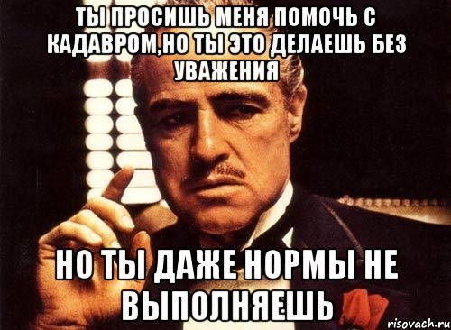 ты просишь меня помочь с кадавром,но ты это делаешь без уважения но ты даже нормы не выполняешь, Мем крестный отец