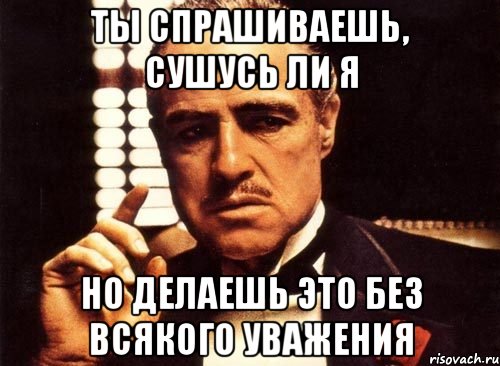 ты спрашиваешь, сушусь ли я но делаешь это без всякого уважения, Мем крестный отец