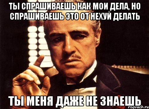 ты спрашиваешь как мои дела, но спрашиваешь это от нехуй делать ты меня даже не знаешь, Мем крестный отец