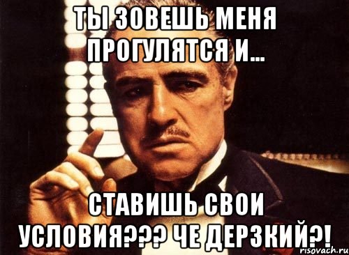 ты зовешь меня прогулятся и... ставишь свои условия??? че дерзкий?!, Мем крестный отец