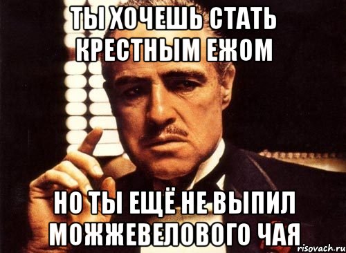 ты хочешь стать крестным ежом но ты ещё не выпил можжевелового чая, Мем крестный отец