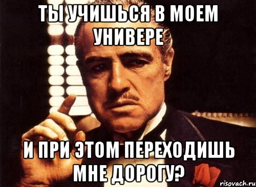 ты учишься в моем универе и при этом переходишь мне дорогу?, Мем крестный отец