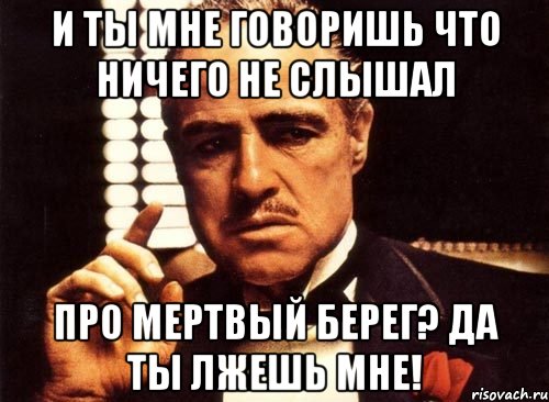 и ты мне говоришь что ничего не слышал про мертвый берег? да ты лжешь мне!, Мем крестный отец