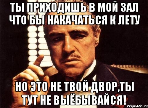 ты приходишь в мой зал что бы накачаться к лету но это не твой двор,ты тут не выёбывайся!, Мем крестный отец