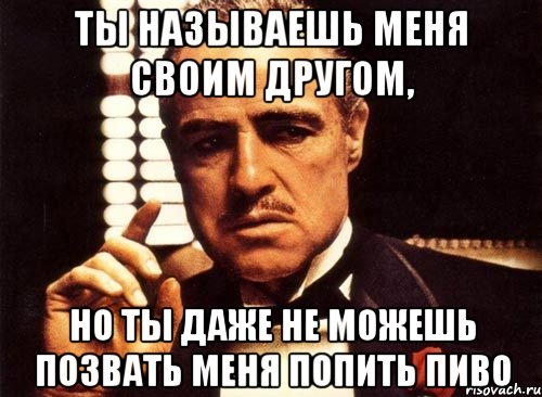 ты называешь меня своим другом, но ты даже не можешь позвать меня попить пиво, Мем крестный отец