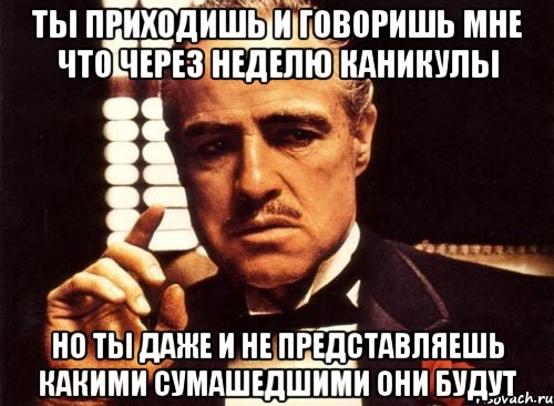 ты приходишь и говоришь мне что через неделю каникулы но ты даже и не представляешь какими сумашедшими они будут, Мем крестный отец