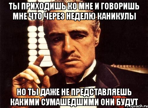 ты приходишь ко мне и говоришь мне что через неделю каникулы но ты даже не представляешь какими сумашедшими они будут, Мем крестный отец