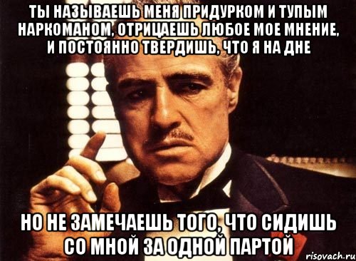 ты называешь меня придурком и тупым наркоманом, отрицаешь любое мое мнение, и постоянно твердишь, что я на дне но не замечаешь того, что сидишь со мной за одной партой, Мем крестный отец