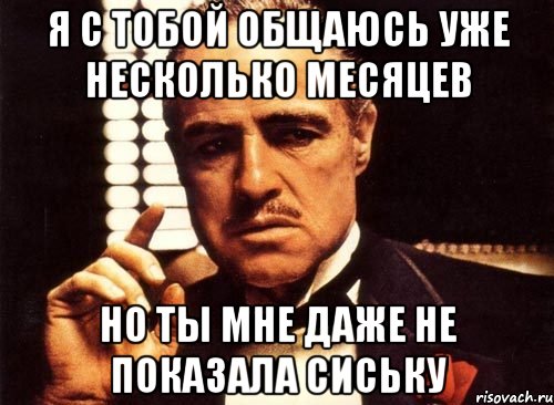 я с тобой общаюсь уже несколько месяцев но ты мне даже не показала сиську, Мем крестный отец