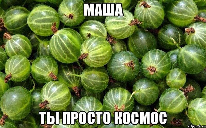 маша ты просто космос, Мем Крижовник