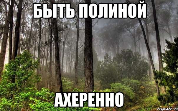 быть полиной ахеренно, Мем лес