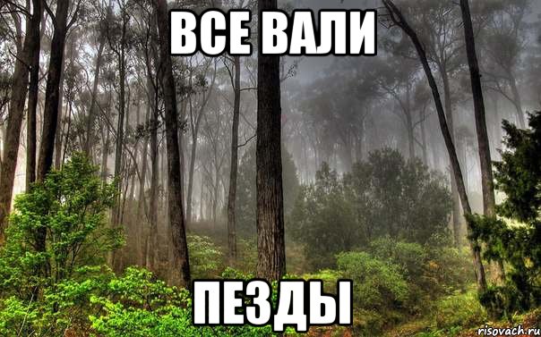 все вали пезды, Мем лес