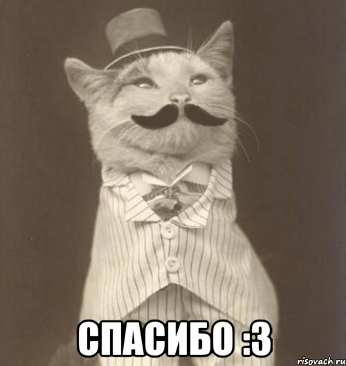  cпасибо :3, Мем Like a Sir